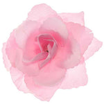 rosa Rosen