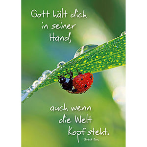 3x Poster A3 mit verschiedenen Motiven