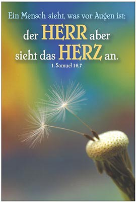 3x Poster A3 mit verschiedenen Motiven