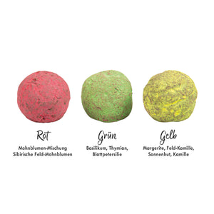 Samenkugeln Blumen & Kräuter – 3er-Set in Geschenkbox mit Bibelvers