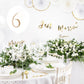 Hochzeitsballone "Just Married" weiß mit gold 6 Stück