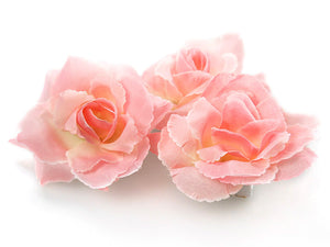 Rosa Rosen, 24 Stück, 9cm