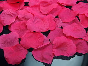 rosenblätter hochzeit pink