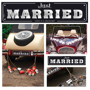 Autokennzeichen Nummernschild Hochzeit 2er "just married-love is a treasure"