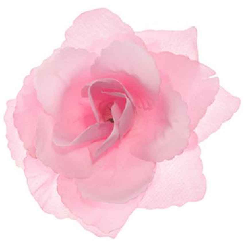 rosa Rosen