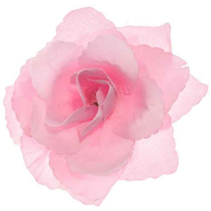 rosa Rosen