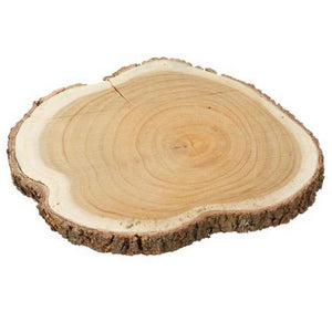 Baumstamm Scheibe