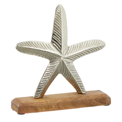 Seestern Deko groß