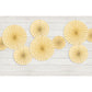Deko-Rosetten 3 teilig CREME RPK1-079--