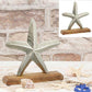 Seestern 13cm personalisierbares Geschenk