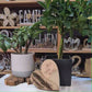 personalisiertes Holzherz mit Rinde 15cm - mit Gravur zur Hochzeit