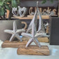 Seestern 13cm personalisierbares Geschenk