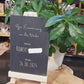 personalisierte Schiefertafel auf Holz Staffelei 10x15 cm mit Gravur