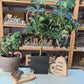 Herz Leuchter aus Holz mit Baumrinde und Teelichtglas personalisiert
