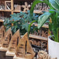 Segelboot aus Holz 22cm personalisiertes Geschenk