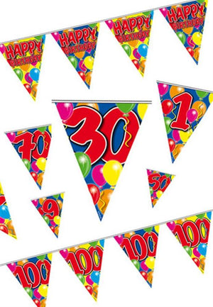 (0,10€/m) Wimpelkette mit bunten Luftballons 10m (15 Flaggen)